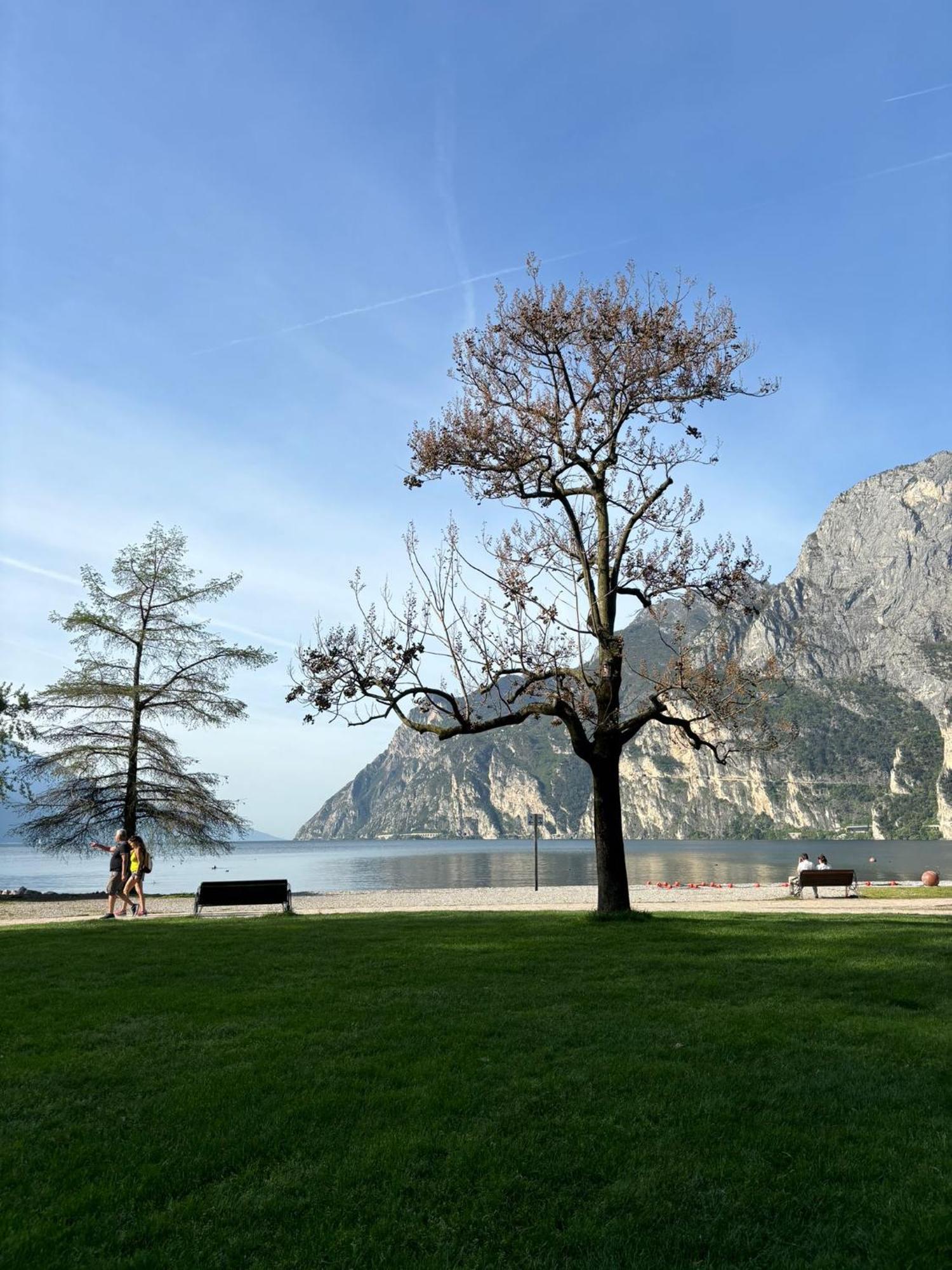 Garden & Pool Perugini Leilighet Torbole Sul Garda Eksteriør bilde